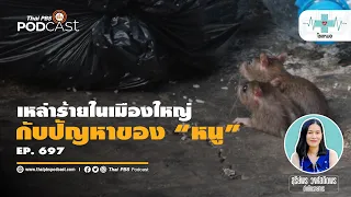 ทำไมการกำจัดหนูด้วยกับดักหรือยาฆ่าหนูจึงไม่พอ และต้องวางแผนอย่างไร