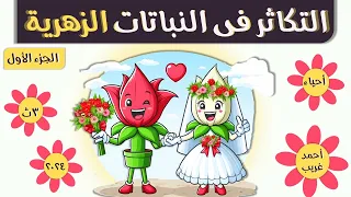 التكاثر في النباتات الزهرية رحلة من البذور إلى الثمار الجزء الأول 