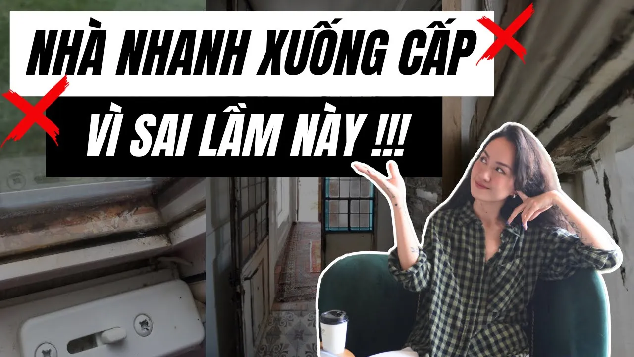 Outline Video Nội thất bền vững | Giải pháp nhà bền đẹp mà KHÔNG CẦN BẢO QUẢN NHIỀU | Kat Studio