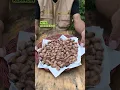 Lagu bikin coklat langsung dari buah kakao #tanduria