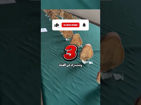 #shorts جسم الإنسان مذهل بشكل لا يُصدَّق! 😨🧠