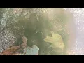 Todd Meditation - Requiem for Mothers, Pt. 2 Stars of the Lid - Woods Scene