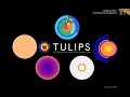 AAVSO How to Python Visualizing MESA models with TULIPS