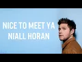 Niall Horan - Nice To Meet Ya (with LYRICS)