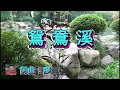 143鴛鴦溪    喬幼(2K高畫質附歌詞)+臺灣楓樺台一渡假村
