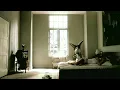 Counting Crows - Accidentally In Love Official Music Video