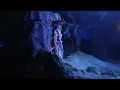 Pirates of the Caribbean 2026 - Disneyland Ride [4K60 POV]