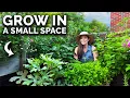 Creating a Balcony Garden For Complete Beginners