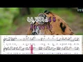 [매직씽아싸노래방] 박다혜/마크툽 (PARK DA HYE / MAKTUB) - 시작의아이 노래방(karaoke) | MAGICSING