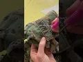 Making Memory Bears