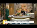 Download Lagu En smakresa till det vegetariska Indien - Nyhetsmorgon (TV4)