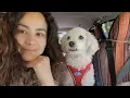 Dog friendly things to do in Sedona Arizona