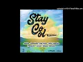 STAY COOL RIDDIM MIXX BY DJ WASHY+27 739 851 889 &+27 760 483 152