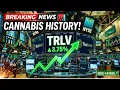 TRULIEVE Makes History as the First US Cannabis Stock Ever Listed on the NYSE