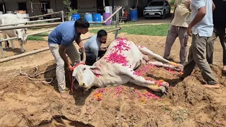 बूढ़ी माँ भारती को अलविदा.
