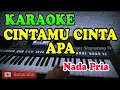 Download Lagu KARAOKE CINTAMU CINTA APA TERBAIK NADA PRIA TERBARU