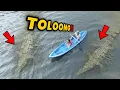 Download Lagu TOLOOONG!! DRONE MEREKAM ADA BUAYA RAKSASA DI SUNGAI!!