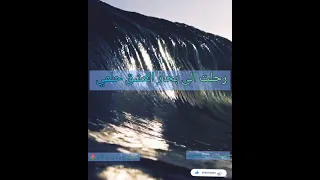 رحلت الى بحار العشق حلمي المنشد    ناصر السعيد دندنها