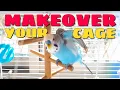 Setting Up Your Parakeet s Cage