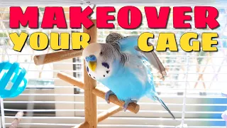 Setting Up Your Parakeet s Cage