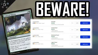 Big Sellers on TCGplayer com are Manipulating the Market Trends with Insane Bulk Premiums
