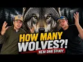 Michigan Has HOW MANY Wolves New DNR