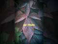 Isang Tingin (lyrics) - Ella Cruz and Julian Trono