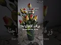 Download Lagu Aamiin Ya Allah #bestlagupopindonesia #fyp #viral #laguspotify #popindo #selfreminder #quran
