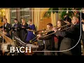 Download Lagu Bach - Cantate Auf, schmetternde Töne BWV 207a - Van Veldhoven | Nederlandse Bachvereniging