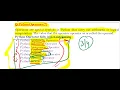 Python Class 2 Literals in Python and Operators in Python