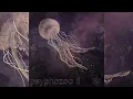Lagu PSYCHILL - Psyphozoa Vol. II [Full Album]