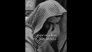 ويالله كم كثرت جراحي    دندنها