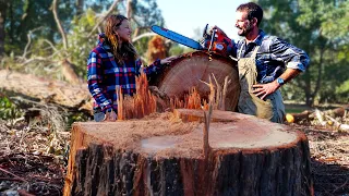 Big Tree Takedown with a Small Chainsaw – Free Range Homestead Ep 9