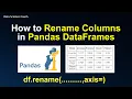 Pandas for Beginners How to Rename Columns