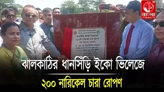 ঝালকাঠির ধানসিঁড়ি ইকো ভিলেজে ২০০ নারিকেল চারা রোপণ