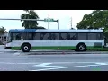 MIAMI DADE TRANSIT bus action around the city 2017 part 2