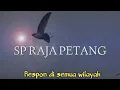 Download Lagu Suara Panggil Walet | SP Paling Respon Terbukti di Semua Wilayah