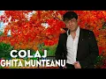 Lagu GHIȚĂ MUNTEANU - CELE MAI ASCULTATE MELODII DE DRAGOSTE ❤️ COLAJ MUZICĂ DE PETRECERE