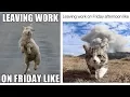 Leaving Work On Friday Meme