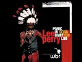 Panic in Babylon - Lee Perry