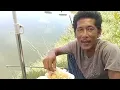 Download Lagu Hasil RIQUWES RABU kamis langsung harian tkt 50 k buka jm06:00 kolam yono siombak atas