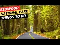 20 AMAZING Things To Do In Redwood National Park Redwood National and State Parks Travel Guide