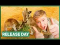 Download Lagu De Irwins laten een emoe en drie kangoeroes vrij! | Jeetje! Het zijn de Irwins