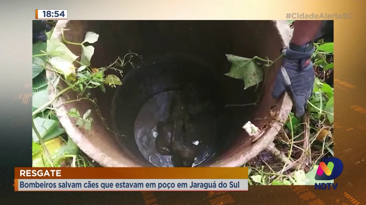 Corpo de Bombeiros de Jaraguá do Sul, resgata cães que estavam dentro de um poço em Joinville