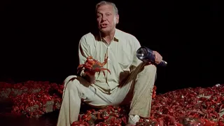 What are 100 MILLION Crabs Doing Here The Trials of Life BBC Earth