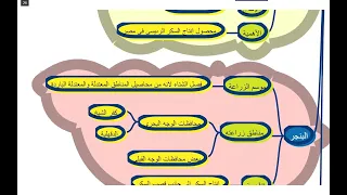 ملخص درس النشاط الزراعي في مصر خريطة ذهنية 