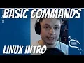 Kali Linux Basic Commands - Introduction to Linux