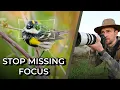 Best Autofocus Settings for Small Birds OM-1 Mark II