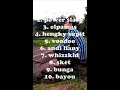 Download Lagu Lagu Slow Rock Indonesia 90'an