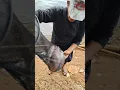 Download Lagu Diri sendiri x validasi... opo kuuuuuih🙃 #fishing #mancing#mancingmania
